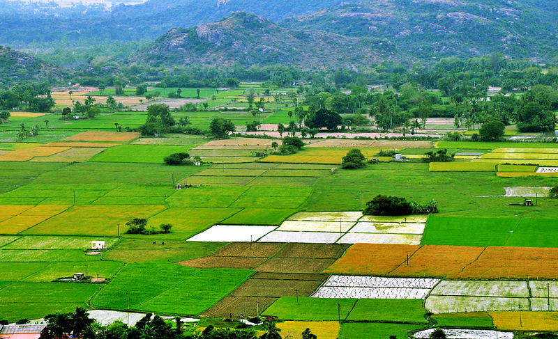 agriculture land in Alwar Rajasthan